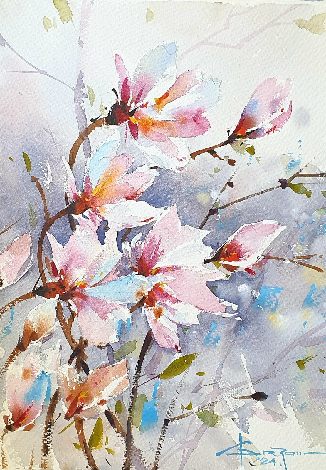 Magnolii